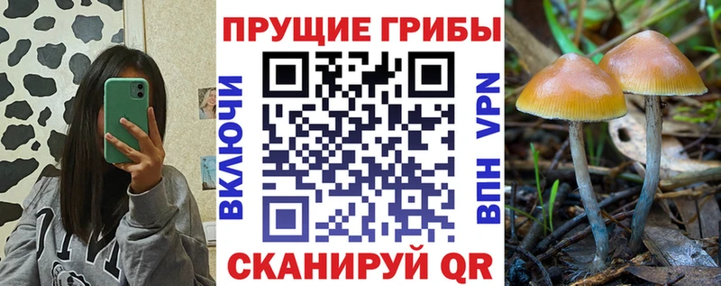Купить закладки  Лиски  Псилоцибиновые грибы MAGIC MUSHROOMS 
